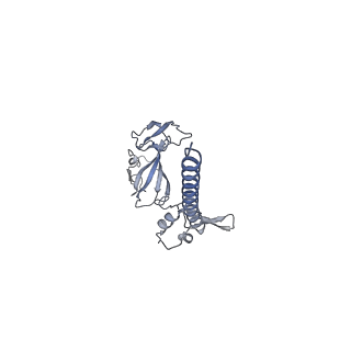 32794_7wtp_SG_v1-2
Cryo-EM structure of a yeast pre-40S ribosomal subunit - State Tsr1-2 (with Rps2)