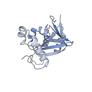 32794_7wtp_SH_v1-2
Cryo-EM structure of a yeast pre-40S ribosomal subunit - State Tsr1-2 (with Rps2)