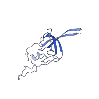 32794_7wtp_SL_v1-2
Cryo-EM structure of a yeast pre-40S ribosomal subunit - State Tsr1-2 (with Rps2)