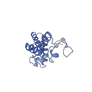 32794_7wtp_SN_v1-2
Cryo-EM structure of a yeast pre-40S ribosomal subunit - State Tsr1-2 (with Rps2)