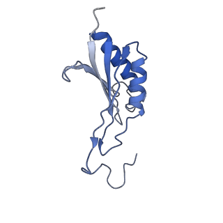32794_7wtp_SO_v1-2
Cryo-EM structure of a yeast pre-40S ribosomal subunit - State Tsr1-2 (with Rps2)