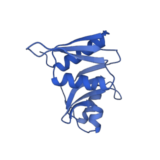 32794_7wtp_SW_v1-2
Cryo-EM structure of a yeast pre-40S ribosomal subunit - State Tsr1-2 (with Rps2)