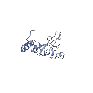 32794_7wtp_SX_v1-2
Cryo-EM structure of a yeast pre-40S ribosomal subunit - State Tsr1-2 (with Rps2)