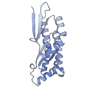 32795_7wtq_CA_v1-2
Cryo-EM structure of a yeast pre-40S ribosomal subunit - State Tsr1-2 (without Rps2)