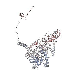 32795_7wtq_CC_v1-2
Cryo-EM structure of a yeast pre-40S ribosomal subunit - State Tsr1-2 (without Rps2)