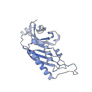 32795_7wtq_SB_v1-2
Cryo-EM structure of a yeast pre-40S ribosomal subunit - State Tsr1-2 (without Rps2)