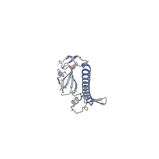 32795_7wtq_SG_v1-2
Cryo-EM structure of a yeast pre-40S ribosomal subunit - State Tsr1-2 (without Rps2)