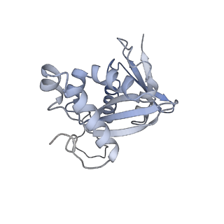 32795_7wtq_SH_v1-2
Cryo-EM structure of a yeast pre-40S ribosomal subunit - State Tsr1-2 (without Rps2)