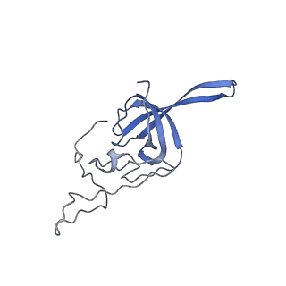 32795_7wtq_SL_v1-2
Cryo-EM structure of a yeast pre-40S ribosomal subunit - State Tsr1-2 (without Rps2)