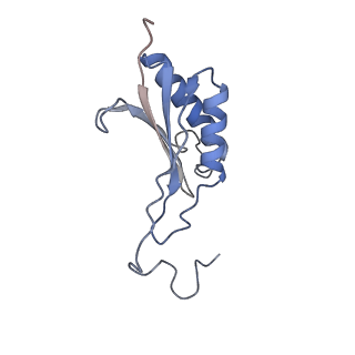 32795_7wtq_SO_v1-2
Cryo-EM structure of a yeast pre-40S ribosomal subunit - State Tsr1-2 (without Rps2)