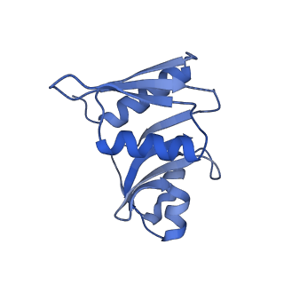 32795_7wtq_SW_v1-2
Cryo-EM structure of a yeast pre-40S ribosomal subunit - State Tsr1-2 (without Rps2)