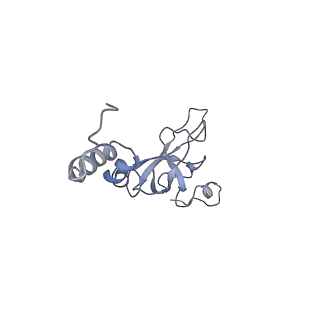 32795_7wtq_SX_v1-2
Cryo-EM structure of a yeast pre-40S ribosomal subunit - State Tsr1-2 (without Rps2)