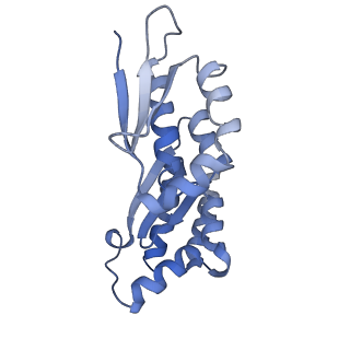 32796_7wtr_CA_v1-2
Cryo-EM structure of a yeast pre-40S ribosomal subunit - State Tsr1-3