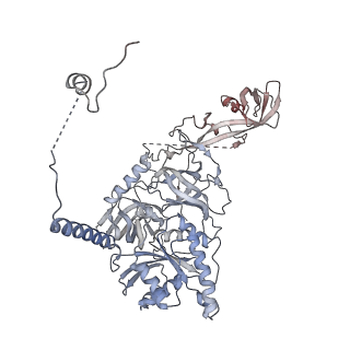 32796_7wtr_CC_v1-2
Cryo-EM structure of a yeast pre-40S ribosomal subunit - State Tsr1-3