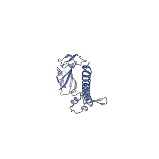 32796_7wtr_SG_v1-2
Cryo-EM structure of a yeast pre-40S ribosomal subunit - State Tsr1-3