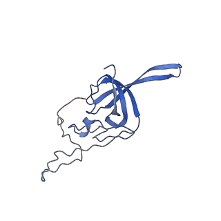 32796_7wtr_SL_v1-2
Cryo-EM structure of a yeast pre-40S ribosomal subunit - State Tsr1-3
