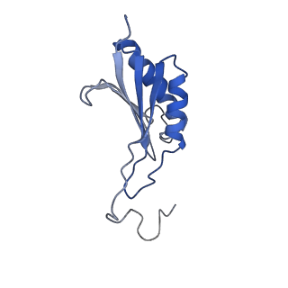 32796_7wtr_SO_v1-2
Cryo-EM structure of a yeast pre-40S ribosomal subunit - State Tsr1-3