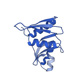 32796_7wtr_SW_v1-2
Cryo-EM structure of a yeast pre-40S ribosomal subunit - State Tsr1-3