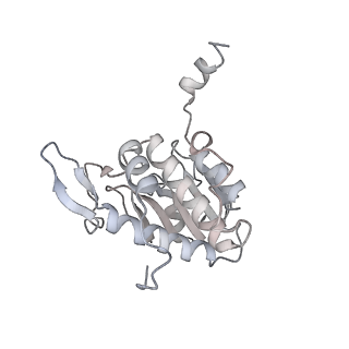 32802_7wtv_A_v1-2
Cryo-EM structure of a human pre-40S ribosomal subunit - State RRP12-A2