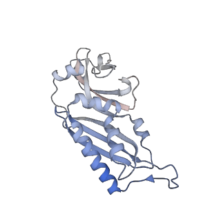 32802_7wtv_B_v1-2
Cryo-EM structure of a human pre-40S ribosomal subunit - State RRP12-A2