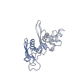 32802_7wtv_C_v1-2
Cryo-EM structure of a human pre-40S ribosomal subunit - State RRP12-A2