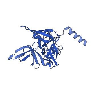 32802_7wtv_E_v1-2
Cryo-EM structure of a human pre-40S ribosomal subunit - State RRP12-A2