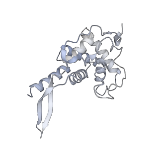 32802_7wtv_F_v1-2
Cryo-EM structure of a human pre-40S ribosomal subunit - State RRP12-A2