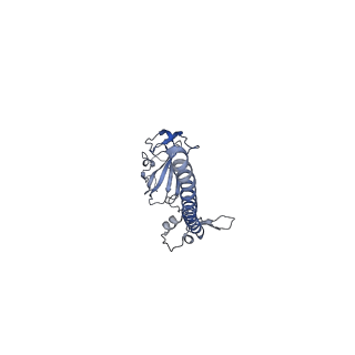 32802_7wtv_G_v1-2
Cryo-EM structure of a human pre-40S ribosomal subunit - State RRP12-A2