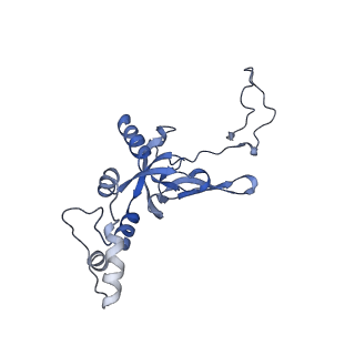32802_7wtv_I_v1-2
Cryo-EM structure of a human pre-40S ribosomal subunit - State RRP12-A2