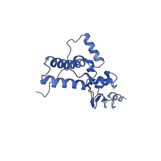 32802_7wtv_J_v1-2
Cryo-EM structure of a human pre-40S ribosomal subunit - State RRP12-A2