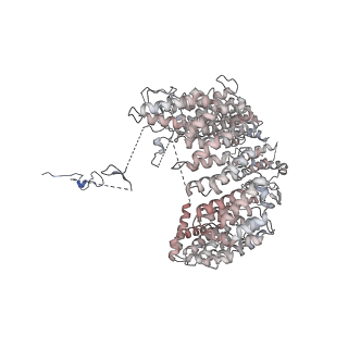 32802_7wtv_K_v1-2
Cryo-EM structure of a human pre-40S ribosomal subunit - State RRP12-A2