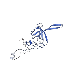 32802_7wtv_L_v1-2
Cryo-EM structure of a human pre-40S ribosomal subunit - State RRP12-A2