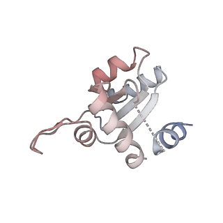 32802_7wtv_M_v1-2
Cryo-EM structure of a human pre-40S ribosomal subunit - State RRP12-A2