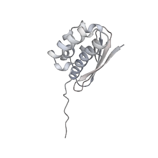 32802_7wtv_Q_v1-2
Cryo-EM structure of a human pre-40S ribosomal subunit - State RRP12-A2