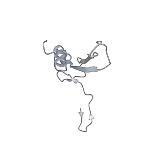 32802_7wtv_V_v1-2
Cryo-EM structure of a human pre-40S ribosomal subunit - State RRP12-A2