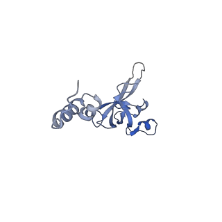 32802_7wtv_X_v1-2
Cryo-EM structure of a human pre-40S ribosomal subunit - State RRP12-A2