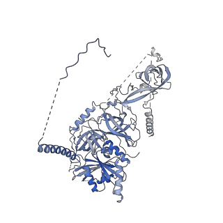 32802_7wtv_u_v1-2
Cryo-EM structure of a human pre-40S ribosomal subunit - State RRP12-A2