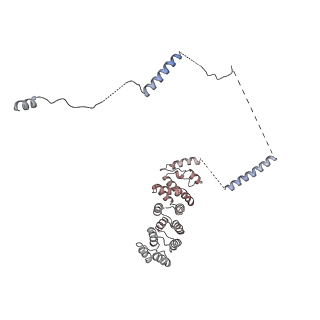 32802_7wtv_w_v1-2
Cryo-EM structure of a human pre-40S ribosomal subunit - State RRP12-A2