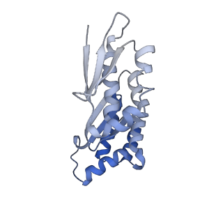 32802_7wtv_x_v1-2
Cryo-EM structure of a human pre-40S ribosomal subunit - State RRP12-A2