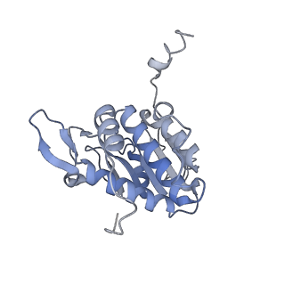 32803_7wtw_A_v1-2
Cryo-EM structure of a human pre-40S ribosomal subunit - State RRP12-A3