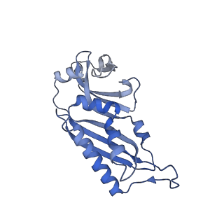 32803_7wtw_B_v1-2
Cryo-EM structure of a human pre-40S ribosomal subunit - State RRP12-A3