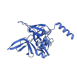 32803_7wtw_E_v1-2
Cryo-EM structure of a human pre-40S ribosomal subunit - State RRP12-A3