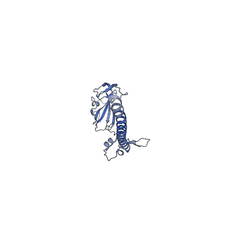 32803_7wtw_G_v1-2
Cryo-EM structure of a human pre-40S ribosomal subunit - State RRP12-A3
