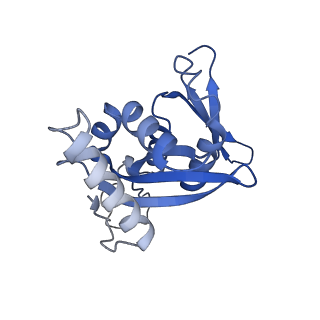 32803_7wtw_H_v1-2
Cryo-EM structure of a human pre-40S ribosomal subunit - State RRP12-A3