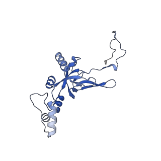 32803_7wtw_I_v1-2
Cryo-EM structure of a human pre-40S ribosomal subunit - State RRP12-A3
