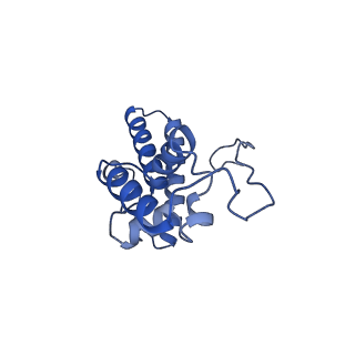 32803_7wtw_N_v1-2
Cryo-EM structure of a human pre-40S ribosomal subunit - State RRP12-A3