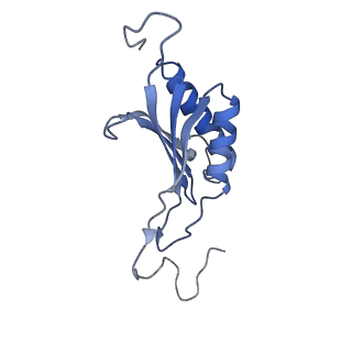 32803_7wtw_O_v1-2
Cryo-EM structure of a human pre-40S ribosomal subunit - State RRP12-A3
