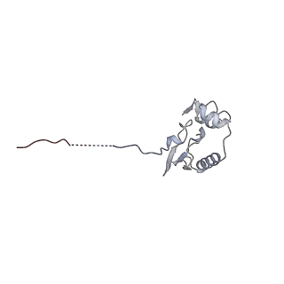 32803_7wtw_P_v1-2
Cryo-EM structure of a human pre-40S ribosomal subunit - State RRP12-A3