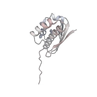 32803_7wtw_Q_v1-2
Cryo-EM structure of a human pre-40S ribosomal subunit - State RRP12-A3