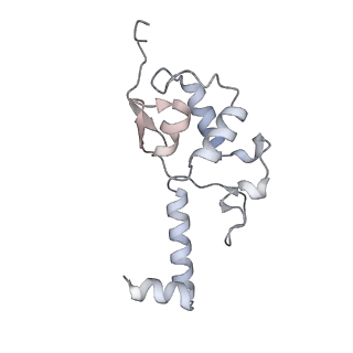 32803_7wtw_S_v1-2
Cryo-EM structure of a human pre-40S ribosomal subunit - State RRP12-A3